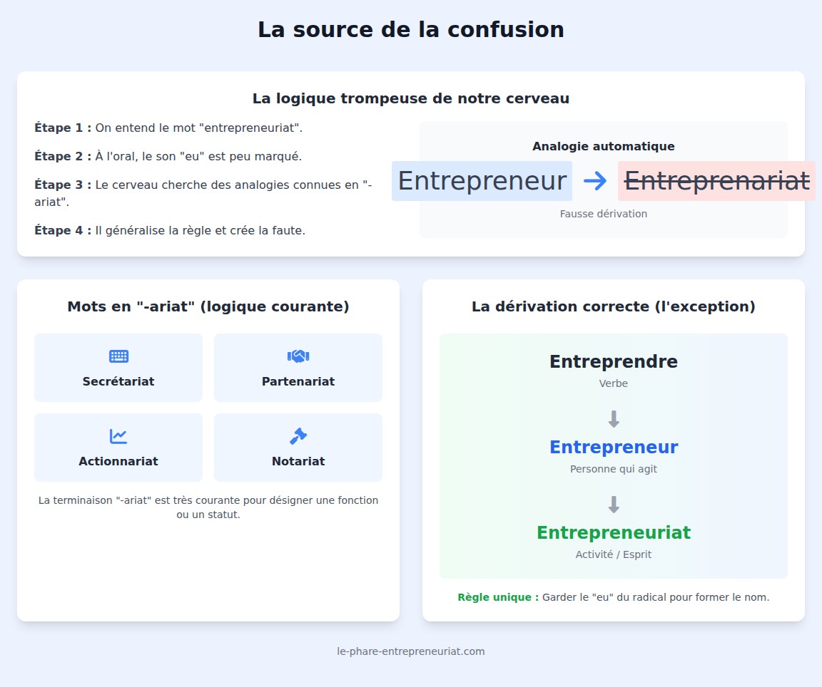 infographie Pourquoi confond-on souvent ces deux formes ?